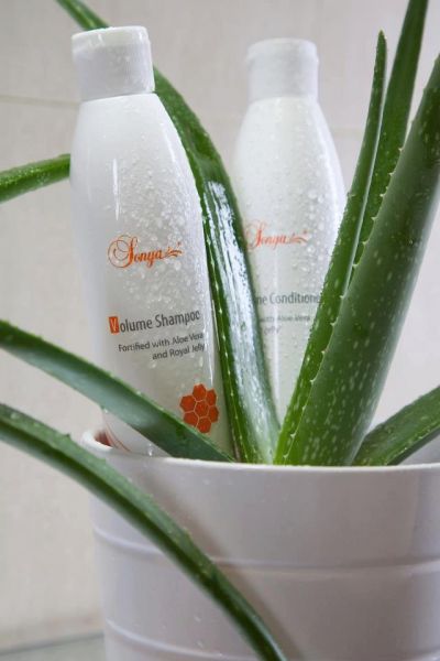 Sonya Volume Shampoo