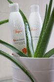Sonya Volume Shampoo